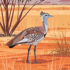 Kori bustard