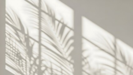 Soft Window Shadow of Palm Leaves on Minimalist Neutral Wall