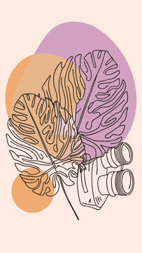 Unveiling the Enigma