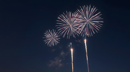 fireworks in the sky