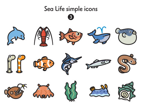 メンダコ Images – Browse 217 Stock Photos, Vectors, and Video