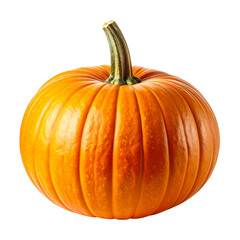 Obraz premium Fresh ripe orange pumpkin vegetable isolated on white background for autumn harvest, Halloween decoration, and Thanksgiving seasonal food