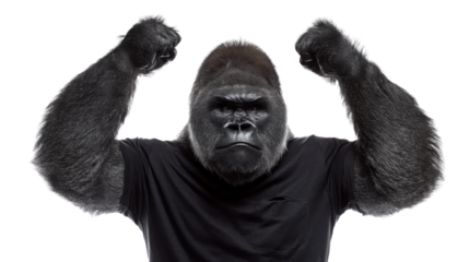 King of the Jungle: A powerful gorilla showcases its strength, flexing its muscles in a display of dominance, framed against a clean backdrop. 