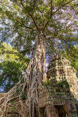 Angkor Wat Archeological Park in Siem Reap, Cambodia