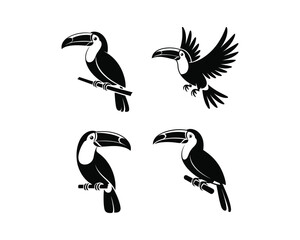 Toucans silhouettes, toucan on tree, toucan flying with wings, Flying toucan vector silhouette illustration set collection, toucan silhouette, toucans silhouettes, toucan bird, flying toucan © Rasel