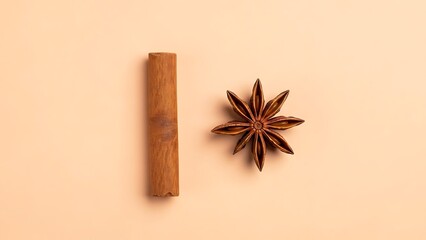 Cinnamon Stick Anise Star Still Life Aromatic Culinary Spice Ingredient