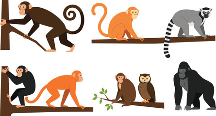 Monkey, Gorilla, Chimpanzee, Lemur, and Birds Sitting on Branches Vector Illustration. © Anowar