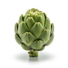 Obraz premium Single Fresh Green Artichoke Vegetable Isolated on White Background with Soft Shadow