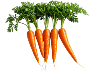 Fresh, vibrant orange root vegetables with leafy green tops