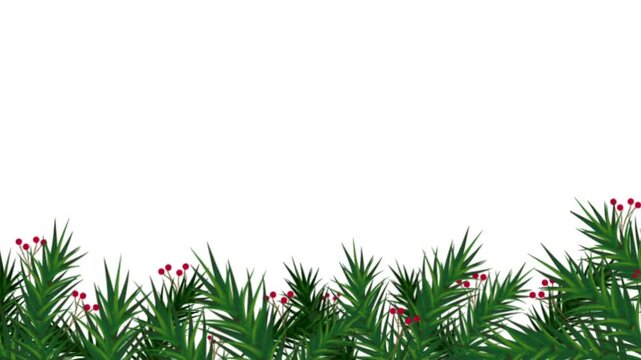 Classic Christmas Pine Branch and Red Berry Frame