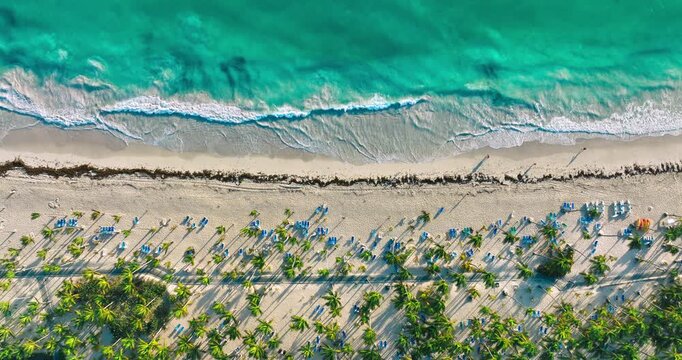 Aerial view of Tropical island beach shoreline with palm trees and Caribbean Sea, Punta Cana resort Dominican Republic