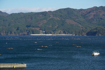 岩手県_山田湾展望広場