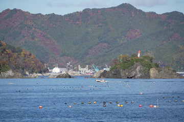 Obraz premium 岩手県_釜石市_尾崎白浜漁港