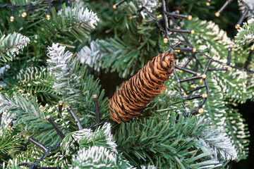 Christmas tree with a long pine cone and lights
