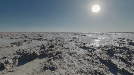 Sun baked cracked earth landscape under a bright sky