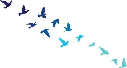 Flying birds silhouette illustration with blue gradient colors, freedom concept, nature wildlife background, abstract flock motion, minimal design artwork