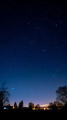 Fototapeta premium Enchanting Starry Night Sky Over Misty Rural Village with Wooden Houses and Trees