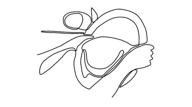 Continuous line animation of driver holds steering wheel