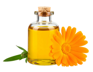 Golden oil in glass bottle beside bright orange flower and leaves