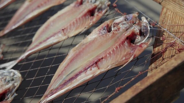 Dried horse mackerel_003