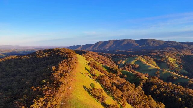 Panoramic aerial drone footage of rolling hills and open valleys in regional Victoria, Australia. Cinematic horizontal view capturing peaceful countryside and layered natural terrain.