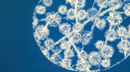 Microscopic view of stained bacterial culture on a slide