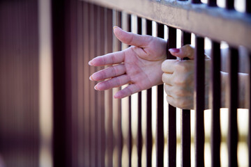 Hands Reaching Through Iron Bars of a Jail or Prison Cell