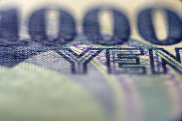 Close-up of Japanese Yen Banknote with Blurred Background Detail