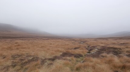Thick heavy fog blanketing a desolate moorland obscuring the landscape