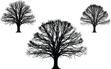 Stylized Black Tree Trio with Intricate Branching – Symmetrical Botanical Silhouettes for Nature-Inspired Design