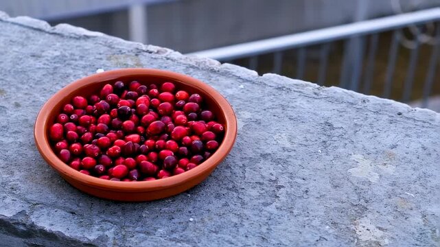 Vibrant Cranberries in Clay Pot: A Rustic Still Life Video with Delicious Berries