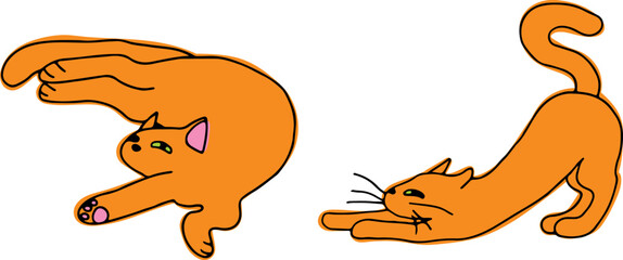 Fototapeta premium A set of cute funny ginger cats stretching and lying in an unusual pose, drawn with crooked grunge lines