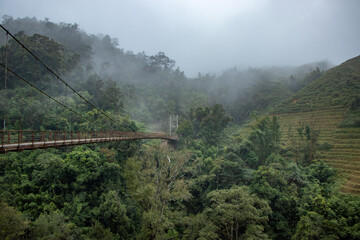 Suspension bridge in the forest on a cloudy day - Sapa, Vietnam