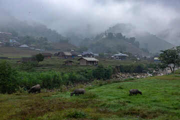 Traditional Village in Sapa, Vietnam