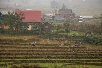 Beautiful rice fields on a cloudy afternoon on the outskirts of Sapa, Vietnam