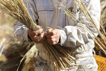 しめ縄づくりをする様子