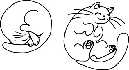 Fototapeta premium Sleeping cat curled up in a ball, the cat lies on its back and shows its belly, drawn with crooked grunge lines