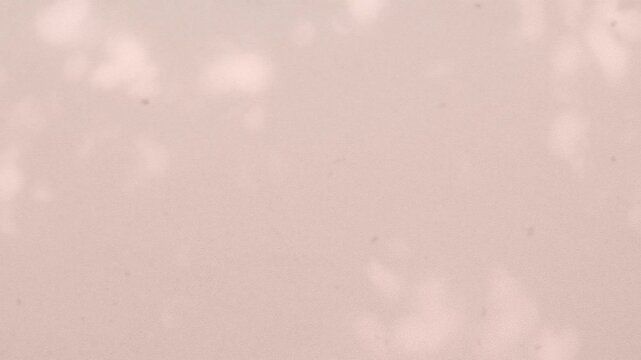 Abstract shadow pink premium gradation background texture blur gradient light pastel abstract luxury premium mockup peach color backdrop template valentine summer spring overlay mockup