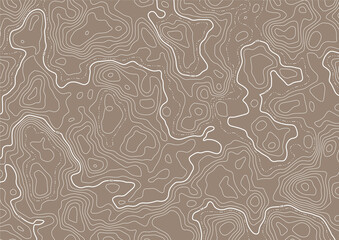 Earth Tone Brown Topographic Terrain Vector Pattern