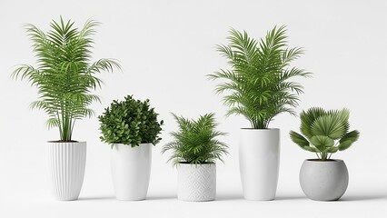 Collection of five green houseplants in different modern pots including a tall fluted white pot, a round white pot, a patterned white pot, a tall