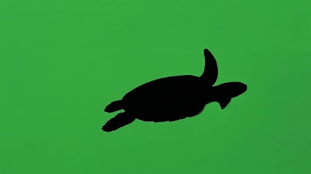 Black silhouette of a sea turtle on a green background.