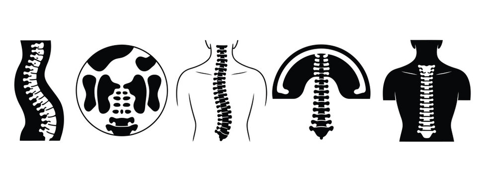 Five stylized black and white illustrations of human spines and torsos, showing spinal column, vertebrae details, anatomical structure, medical diagram, and educational vector design.