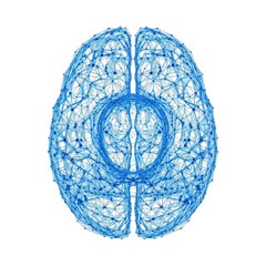 Abstract blue network brain structure isolated on transparent background