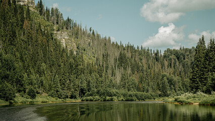 Forested landscape with calm water reflecting trees and sky