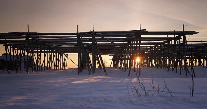 Sunshine through empty wooden racks for drying  cod fish during winter season in a fishing village Lofoten islands, Norway