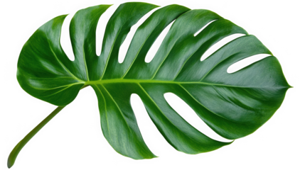 Ultimate Mega Bundle of Artistic Paint Brush Strokes: Vibrant Watercolor Swatches, Textured Slate Blue Washes, and Gritty Black Ink Splatters on White Background