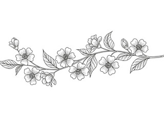 Elegant black and white floral illustration with delicate flowers and leaves on a branch