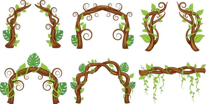 Set of decorative jungle vine frames and tree branch arches with green leaves and tropical foliage isolated on white background for design.