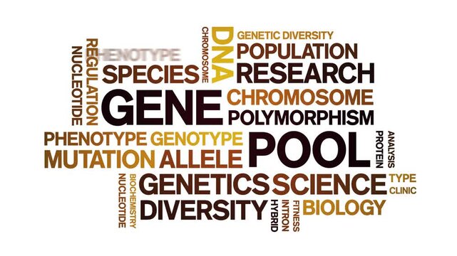 Gene Pool animated word cloud-text design animation tag kinetic typography seamless loop.