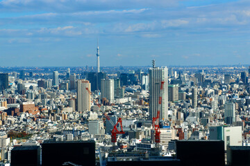 東京都庁からの眺望・都市風景（東京都・新宿区）